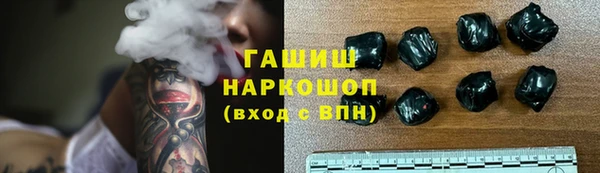 индика Беломорск