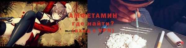 индика Беломорск
