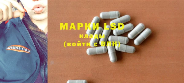 индика Беломорск