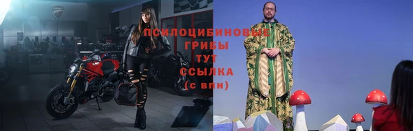 гидропоника Белокуриха