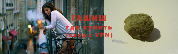 индика Беломорск
