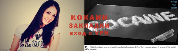 индика Беломорск