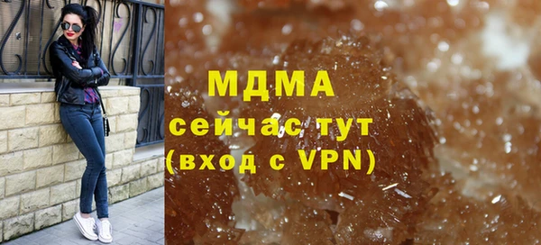 индика Беломорск