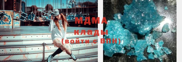 индика Беломорск