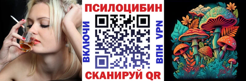 OMG маркетплейс Полесск Галлюциногенные грибы Psilocybe